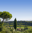Tuscany countryside by chianciano terme