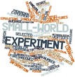 Word cloud for Small-world experiment
