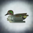 shooting duck