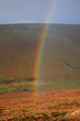 rainbow over Dartmoor