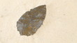Arrowhead
