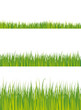 Green Grass