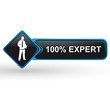 100 pour 100 expert sur bouton web carré design bleu