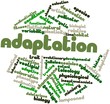 Word cloud for Adaptation