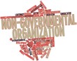 Word cloud for Non-governmental organization