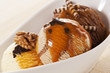 Photo: Delicious Ice Cream Delicious Ice Cream