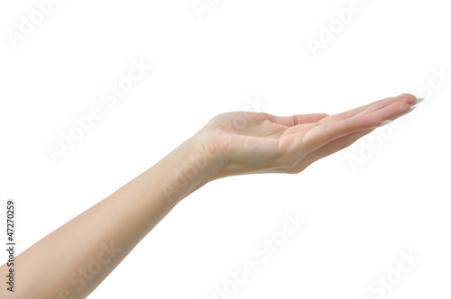 Photo: female woman hand female woman hand