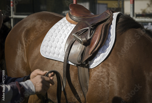 Photo: English riding style saddle preparation English riding style saddle preparation