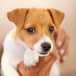Look at those puppy eyes
