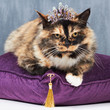Perfect princess!