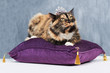 Photo: I'm the queen! I'm the queen!