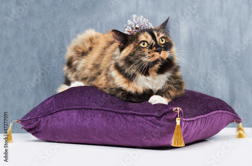 Photo: I'm the queen! I'm the queen!