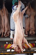 Photo: Transporting carcasses Transporting carcasses