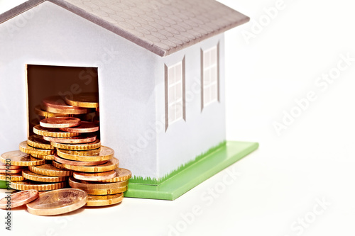 Photo: Houses are expensive investments Houses are expensive investments