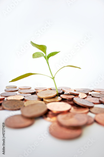 Photo: Our growing economy Our growing economy