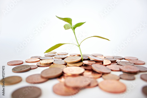 Photo: Use your money to help nature grow Use your money to help nature grow