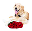 Will you be my valentine?