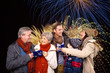 familie silvester