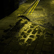 wet path