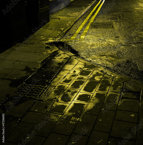 Photo: wet path wet path