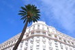 Hotel et Palmier à Cannes