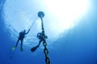 subacqueo immersione risalita catena boa