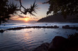 Bassin de Manapany - Ile de La Réunion