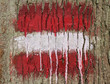 painted mark on a tree trunk