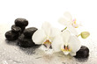 Spa stones and orchid flowers, isolated on white.