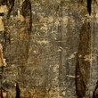 Old paper texture