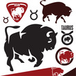 Buffalo. Bison. Taurus.