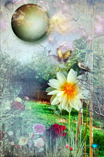 Illustration: Amazing garden Amazing garden
