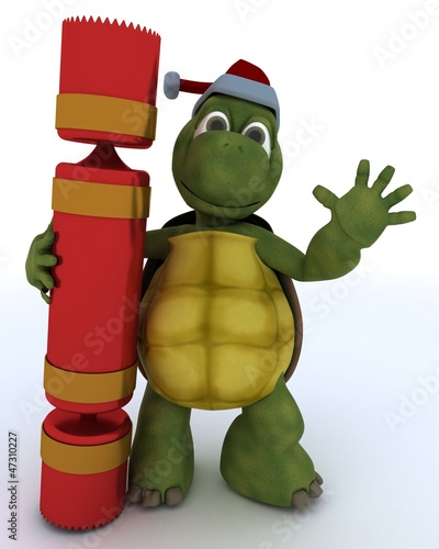 Illustration: tortoise with christmas cracker tortoise with christmas cracker