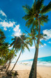 Tropical beach