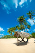 Tropical beach