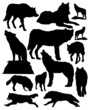 wolves vector