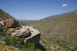 Giant Saguaro Cactus, Saguaro National Park, Sonoran Desert, Tuc