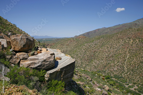 Photo: Giant Saguaro Cactus, Saguaro National Park, Sonoran Desert, Tuc Giant Saguaro Cactus, Saguaro National Park, Sonoran Desert, Tuc