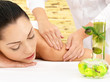 Woman having massage of body in spa salon