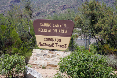 Photo: Giant Saguaro Cactus - Information, Saguaro National Park, Sonor Giant Saguaro Cactus - Information, Saguaro National Park, Sonor