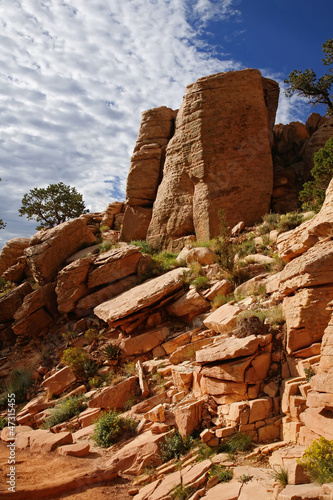 Photo: Grand Canyon National Park (South Rim), Arizona - USA 2 Grand Canyon National Park (South Rim), Arizona - USA 2