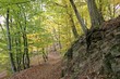 Der Knorreichenstieg am Edersee im Herbst