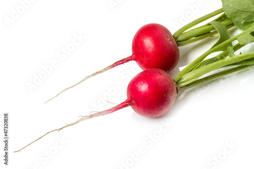 Photo: Two radishes Two radishes