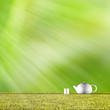 Teapot with nice green background