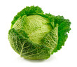Ripe Savoy cabbage isolated on white