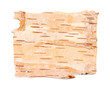 birch bark texture