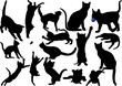 Cat and kitten vector silhouette set