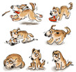 Set of puppy fun. Freehand drawing