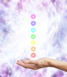 The Seven Chakras