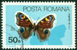 stamp printed in Romania showing Peacock butterfly
